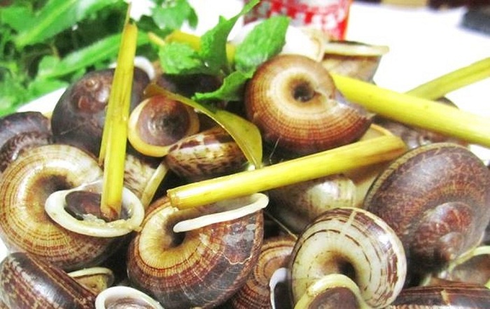 unmissable dishes in ninh binh mountain snail